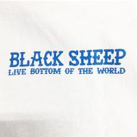BLACK SHEEP SKATES-"BOTTOM" S/S Tシャツ (WHITExBLUE)
