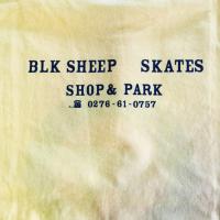 BLACK SHEEP SKATES-"NESM" S/S Tシャツ (RED)